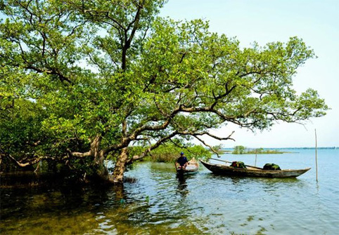 dao-tam-hai-18.jpg