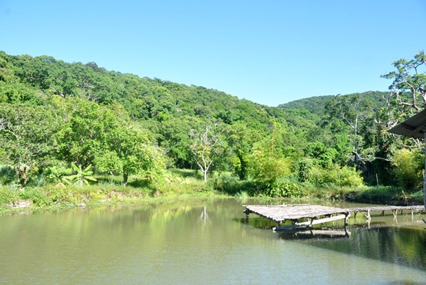 nhat-lam-thuy-trang-tra-chon-binh-yen-giua-long-ban-dao-son-tra-6.jpg