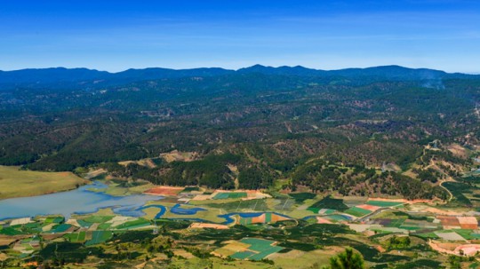 du-lich-da-lat.jpg