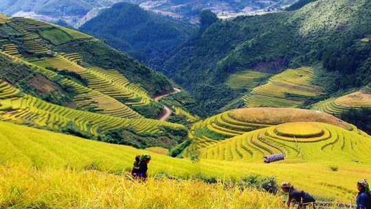 Sapa.jpg