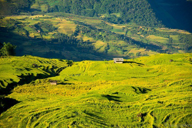 Y-Ty-vao-top-kho-bau-bi-mat-cua-du-lich-chau-A-1