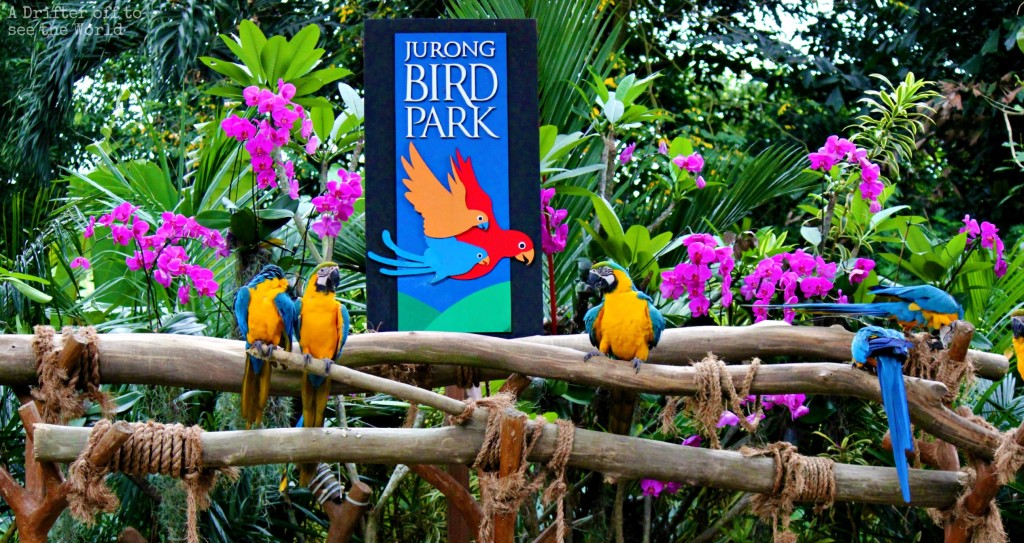 jurong-bird-park.jpg