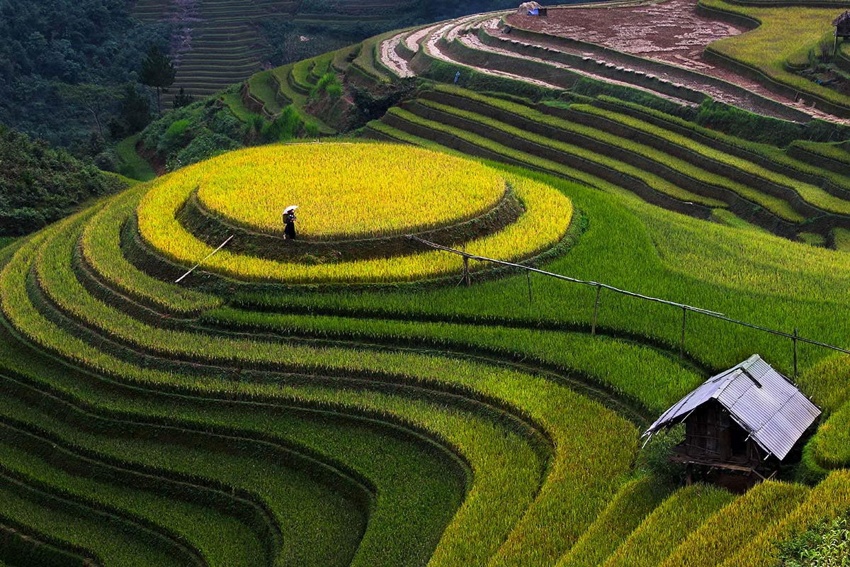 mu-cang-chai-1.jpg