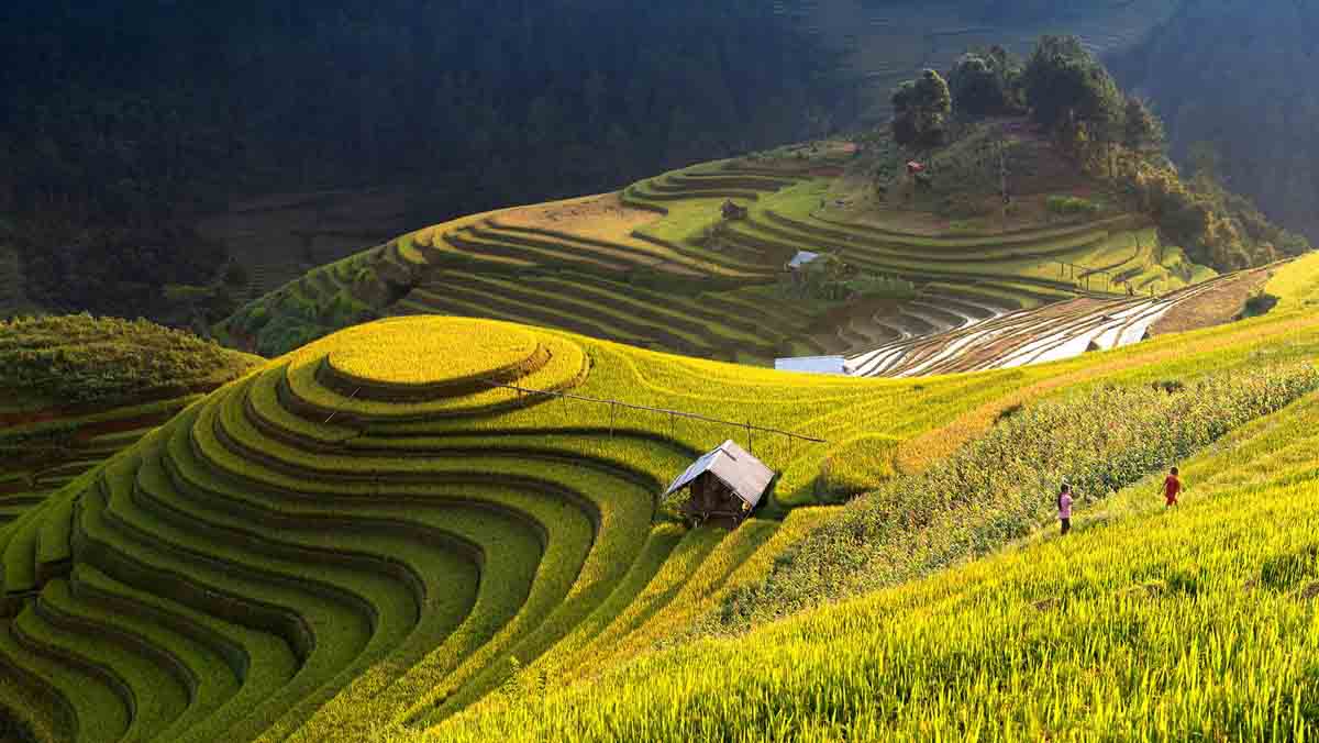 sapa-mua-lua-chin-1.jpg