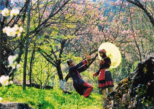 sapa_3.jpg