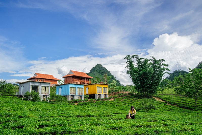 du-lich-moc-chau-ngu-bungalow-container-ngam-nhung-doi-che-xanh-mat-3.jpg
