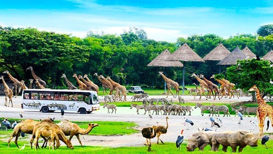 Mua vé tham quan Safari World và Marine Park Bangkok giá rẻ