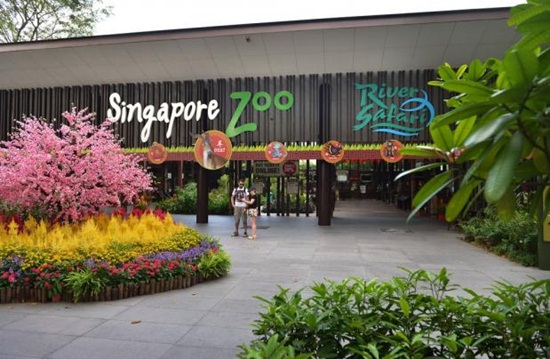 Điểm bán vé Singapore Zoo giá tốt nhất Điểm bán vé Singapore Zoo giá tốt nhất