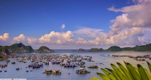 Thời điểm thích hợp để đi du lịch đảo Cát Bà 1 ngày Thời điểm thích hợp để đi du lịch đảo Cát Bà 1 ngày